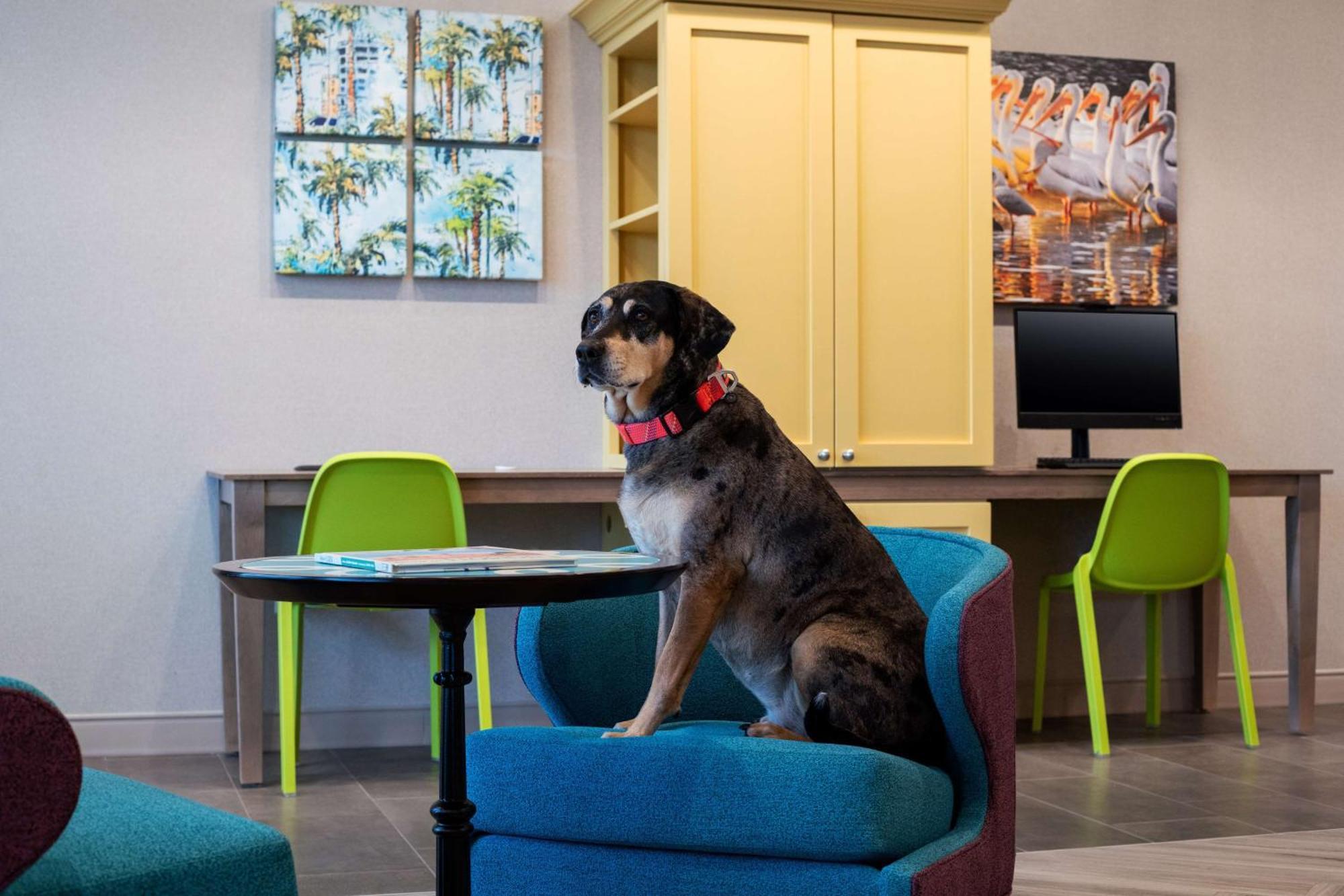 Home2 Suites By Hilton Lake Mary Orlando Exteriör bild